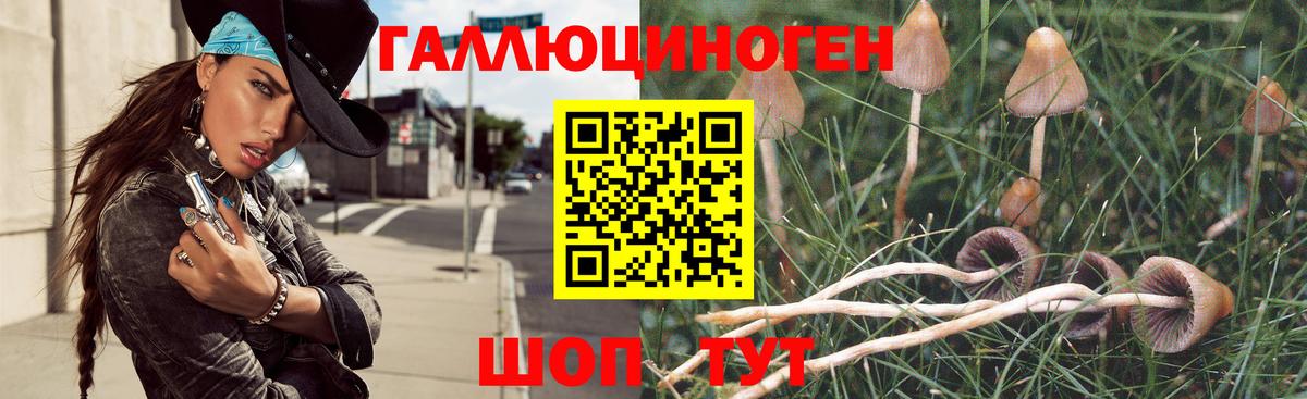Узловая  Галлюциногенные грибы мухоморы  как найти закладки  Вход с VPN 