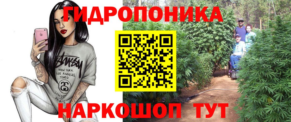 Узловая  Каннабис AK-47  Конопля гибрид  Вход с VPN 
